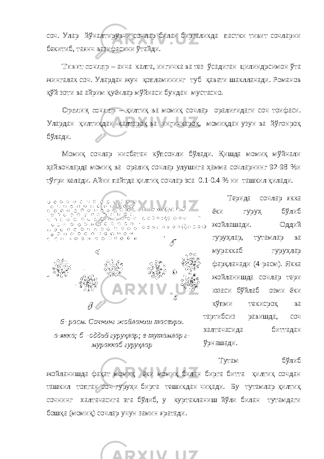 6- расм . Сочнинг жойланиш тасвири. а-якка; б -оддий гуруҳлар; в-тутамлар г- мураккаб гуруҳларсоч. Улар йўналтирувчи сочлар билан биргаликда пастки тивит сочларни бекитиб, таянч вазифасини ўтайди. Тивит сочлар – анча калта, ингичка ва тез ўсадиган цилиндрсимон ўта жингалак соч. Улардан жун қопламининг туб қавати шаклланади. Романов қўй зоти ва айрим қуёнлар мўйнаси бундан мустасно. Оралиқ сочлар – қилтиқ ва момиқ сочлар оралиғидаги соч тоифаси. Улардан қилтиқдан калтароқ ва ингичкароқ, момиқдан узун ва йўғонроқ бўлади. Момиқ сочлар нисбатан кўпсонли бўлади. Қишда момиқ мўйнали ҳайвонларда момиқ ва оралиқ сочлар улушига ҳамма сочларнинг 92-98 %и тўғри келади. Айни пайтда қилтиқ сочлар эса 0.1-0.4 % ни ташкил қилади. Терида сочлар якка ёки гуруҳ бўлиб жойлашади. Оддий гуруҳлар, тутамлар ва мураккаб гуруҳлар фарқланади (4-расм). Якка жойланишда сочлар тери юзаси бўйлаб озми ёки кўпми текисроқ ва тартибсиз равишда, соч халтачасида биттадан ўрнашади. Тутам бўлиб жойланишда фақат момиқ ёки момиқ билан бирга битта қилтиқ сочдан ташкил топган соч гуруҳи бирта тешикдан чиқади. Бу тутамлар қилтиқ сочнинг халтачасига эга бўлиб, у куртакланиш йўли билан тутамдаги бошқа (момиқ) сочлар учун замин яратади. 