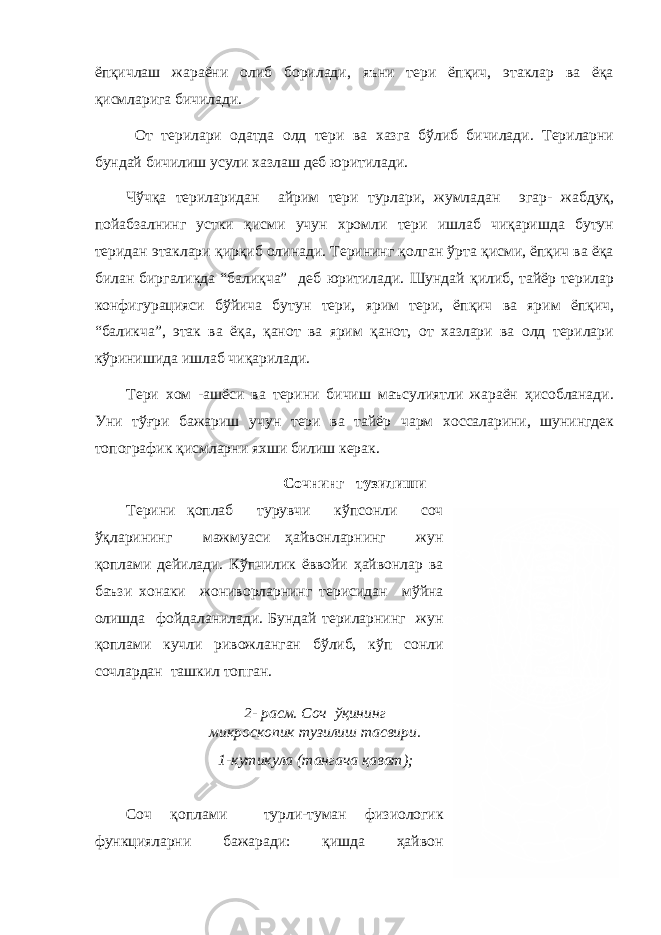 2- расм. Соч ўқининг микроскопик тузилиш тасвири. 1-кутикула (тангача қават); ёпқичлаш жараёни олиб борилади, яъни тери ёпқич, этаклар ва ёқа қисмларига бичилади. От терилари одатда олд тери ва хазга бўлиб бичилади. Териларни бундай бичилиш усули хазлаш деб юритилади. Чўчқа териларидан айрим тери турлари, жумладан эгар- жабдуқ, пойабзалнинг устки қисми учун хромли тери ишлаб чиқаришда бутун теридан этаклари қирқиб олинади. Терининг қолган ўрта қисми, ёпқич ва ёқа билан биргаликда “балиқча” деб юритилади. Шундай қилиб, тайёр терилар конфигурацияси бўйича бутун тери, ярим тери, ёпқич ва ярим ёпқич, “баликча”, этак ва ёқа, қанот ва ярим қанот, от хазлари ва олд терилари кўринишида ишлаб чиқарилади. Тери хом -ашёси ва терини бичиш маъсулиятли жараён ҳисобланади. Уни тўғри бажариш учун тери ва тайёр чарм хоссаларини, шунингдек топографик қисмларни яхши билиш керак. Сочнинг тузилиши Терини қоплаб турувчи кўпсонли соч ўқларининг мажмуаси ҳайвонларнинг жун қоплами дейилади. Кўпчилик ёввойи ҳайвонлар ва баъзи хонаки жониворларнинг терисидан мўйна олишда фойдаланилади. Бундай териларнинг жун қоплами кучли ривожланган бўлиб, кўп сонли сочлардан ташкил топган. Соч қоплами турли-туман физиологик функцияларни бажаради: қишда ҳайвон 