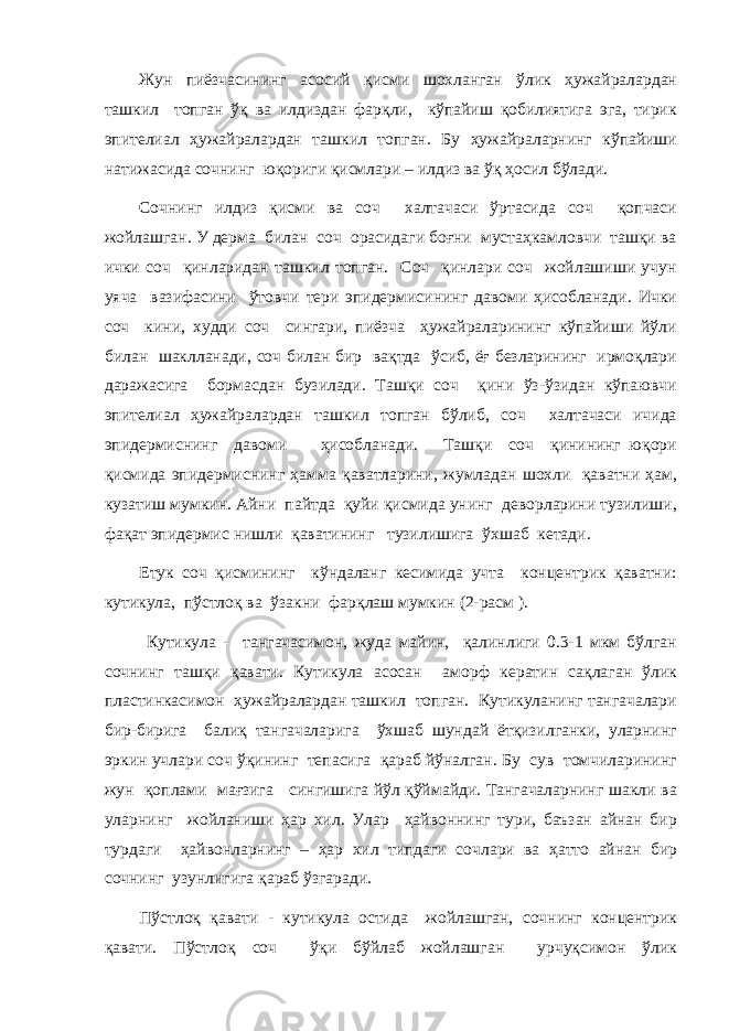 Жун пиёзчасининг асосий қисми шохланган ўлик ҳужайралардан ташкил топган ўқ ва илдиздан фарқли, кўпайиш қобилиятига эга, тирик эпителиал ҳужайралардан ташкил топган. Бу ҳужайраларнинг кўпайиши натижасида сочнинг юқориги қисмлари – илдиз ва ўқ ҳосил бўлади. Сочнинг илдиз қисми ва соч халтачаси ўртасида соч қопчаси жойлашган. У дерма билан соч орасидаги боғни мустаҳкамловчи ташқи ва ички соч қинларидан ташкил топган. Соч қинлари соч жойлашиши учун уяча вазифасини ўтовчи тери эпидермисининг давоми ҳисобланади. Ички соч кини, худди соч сингари, пиёзча ҳужайраларининг кўпайиши йўли билан шаклланади, соч билан бир вақтда ўсиб, ёғ безларининг ирмоқлари даражасига бормасдан бузилади. Ташқи соч қини ўз-ўзидан кўпаювчи эпителиал ҳужайралардан ташкил топган бўлиб, соч халтачаси ичида эпидермиснинг давоми ҳисобланади. Ташқи соч қинининг юқори қисмида эпидермиснинг ҳамма қаватларини, жумладан шохли қаватни ҳам, кузатиш мумкин. Айни пайтда қуйи қисмида унинг деворларини тузилиши, фақат эпидермис нишли қаватининг тузилишига ўхшаб кетади. Етук соч қисмининг кўндаланг кесимида учта концентрик қаватни: кутикула, пўстлоқ ва ўзакни фарқлаш мумкин (2-расм ). Кутикула - тангачасимон, жуда майин, қалинлиги 0.3-1 мкм бўлган сочнинг ташқи қавати. Кутикула асосан аморф кератин сақлаган ўлик пластинкасимон ҳужайралардан ташкил топган. Кутикуланинг тангачалари бир-бирига балиқ тангачаларига ўхшаб шундай ётқизилганки, уларнинг эркин учлари соч ўқининг тепасига қараб йўналган. Бу сув томчиларининг жун қоплами мағзига сингишига йўл қўймайди. Тангачаларнинг шакли ва уларнинг жойланиши ҳар хил. Улар ҳайвоннинг тури, баъзан айнан бир турдаги ҳайвонларнинг – ҳар хил типдаги сочлари ва ҳатто айнан бир сочнинг узунлигига қараб ўзгаради. Пўстлоқ қавати - кутикула остида жойлашган, сочнинг концентрик қавати. Пўстлоқ соч ўқи бўйлаб жойлашган урчуқсимон ўлик 