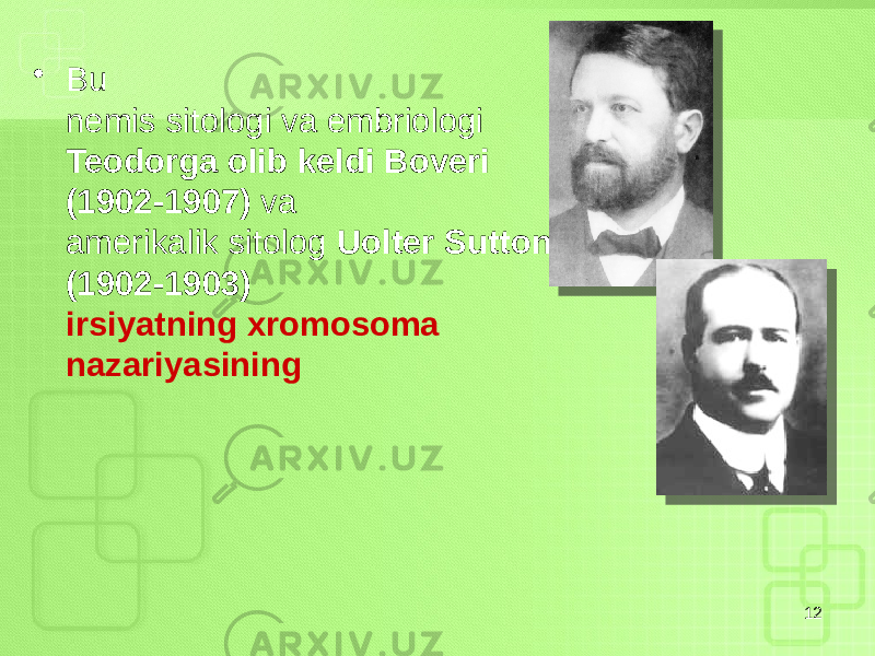 • Bu nemis sitologi va embriologi Teodorga olib keldi Boveri (1902-1907) va amerikalik sitolog Uolter Sutton (1902-1903) irsiyatning xromosoma nazariyasining 12 