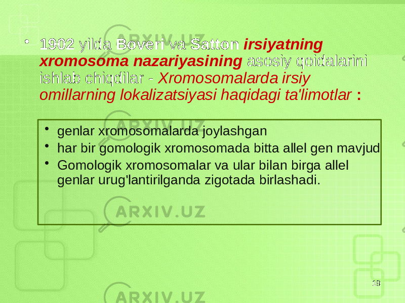 • 1902 yilda Boveri va Satton irsiyatning xromosoma nazariyasining asosiy qoidalarini ishlab chiqdilar - Xromosomalarda irsiy omillarning lokalizatsiyasi haqidagi ta&#39;limotlar : • genlar xromosomalarda joylashgan • har bir gomologik xromosomada bitta allel gen mavjud • Gomologik xromosomalar va ular bilan birga allel genlar urug&#39;lantirilganda zigotada birlashadi. 19 