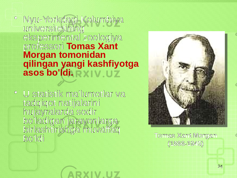 • Nyu-Yorkdagi Kolumbiya universitetining eksperimental zoologiya professori Tomas Xant Morgan tomonidan qilingan yangi kashfiyotga asos bo&#39;ldi. • U statistik ma&#39;lumotlar va tadqiqot natijalarini hujayralarda sodir bo&#39;ladigan jarayonlarga birlashtirishga muvaffaq bo&#39;ldi 24Tomas Xant Morgan (1866-1945) 