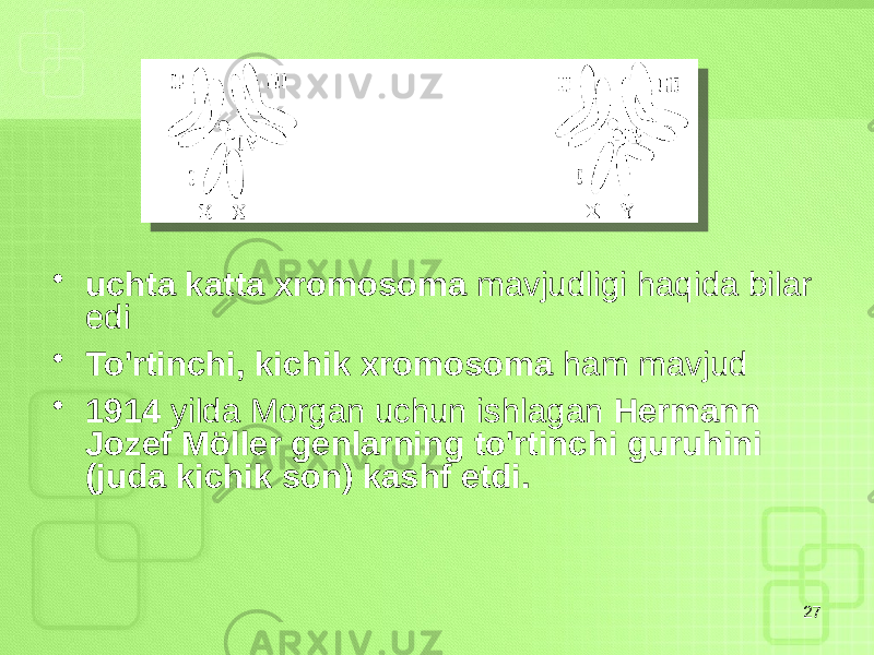 • uchta katta xromosoma mavjudligi haqida bilar edi • To&#39;rtinchi, kichik xromosoma ham mavjud • 1914 yilda Morgan uchun ishlagan Hermann Jozef Möller genlarning to&#39;rtinchi guruhini (juda kichik son) kashf etdi. 27 