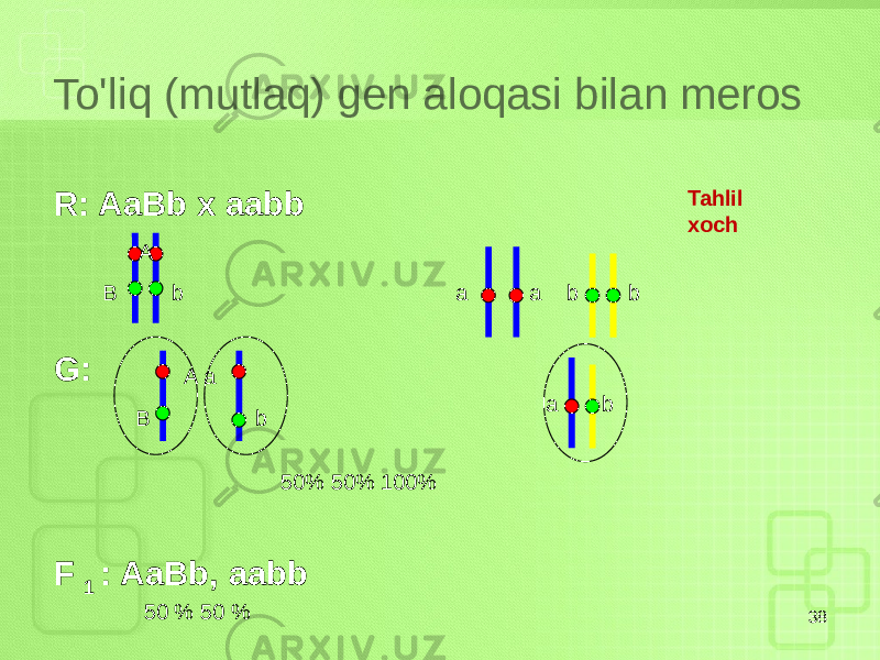 To&#39;liq (mutlaq) gen aloqasi bilan meros 38R: AaBb x aabb G: F 1 : AaBb, aabb A B b a a b b Tahlil xoch a b 50% 50% 100% 50 % 50 % B b A a 