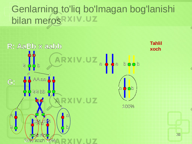 Genlarning to&#39;liq bo&#39;lmagan bog&#39;lanishi bilan meros 39R: AaBb x aabb G: A a B b a a b b Tahlil xoch a b 100%AA aa BB bb A B a bA a b B A a b B nekr nekr 10% xoch 10%40% 40% 