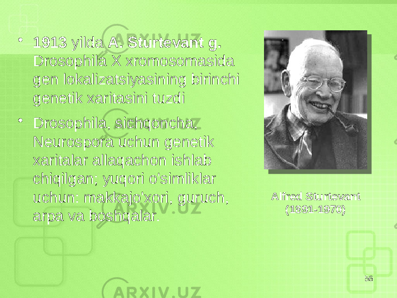 • 1913 yilda A. Sturtevant g. Drosophila X xromosomasida gen lokalizatsiyasining birinchi genetik xaritasini tuzdi • Drosophila, sichqoncha, Neurospora uchun genetik xaritalar allaqachon ishlab chiqilgan; yuqori o&#39;simliklar uchun: makkajo&#39;xori, guruch, arpa va boshqalar. 56Alfred Sturtevant (1891-1970) 