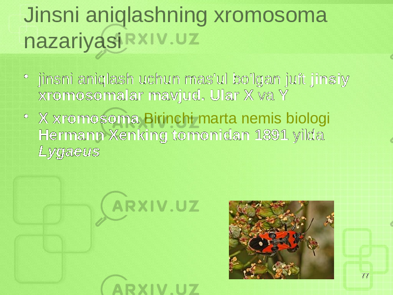 Jinsni aniqlashning xromosoma nazariyasi • jinsni aniqlash uchun mas&#39;ul bo&#39;lgan juft jinsiy xromosomalar mavjud. Ular X va Y • X xromosoma Birinchi marta nemis biologi Hermann Xenking tomonidan 1891 yilda Lygaeus 77 