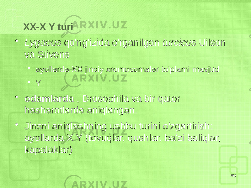  XX-X Y turi • Lygaeus qo&#39;ng&#39;izida o&#39;rganilgan turcicus Uilson va Stivens • ayollarda XX jinsiy xromosomalar to&#39;plami mavjud • Y • odamlarda , Drosophila va bir qator hasharotlarda aniqlangan. • Jinsni aniqlashning ushbu turini o&#39;zgartirish: ayollarda X Y (tovuqlar, qushlar, ba&#39;zi baliqlar, kapalaklar) 80 