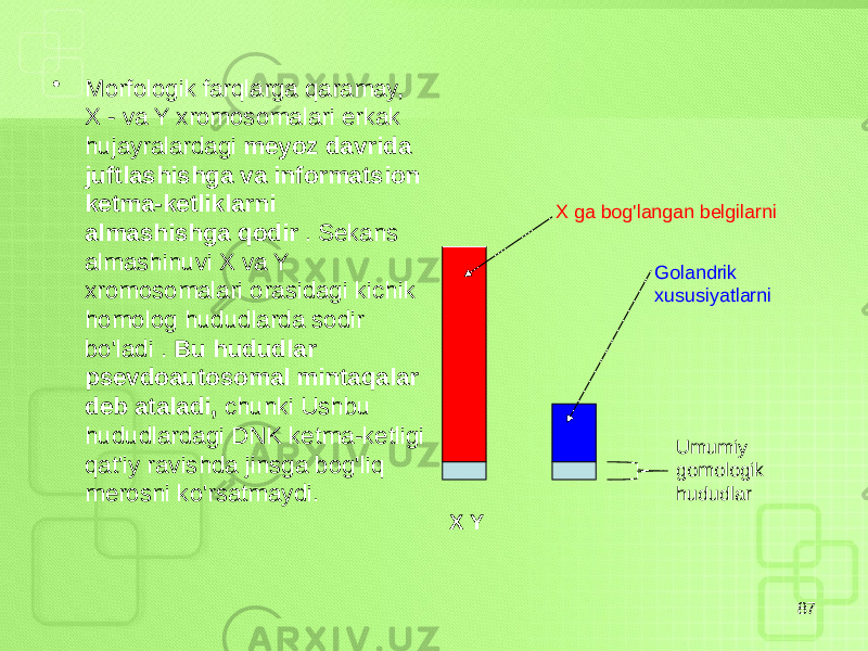 • Morfologik farqlarga qaramay, X - va Y xromosomalari erkak hujayralardagi meyoz davrida juftlashishga va informatsion ketma-ketliklarni almashishga qodir . Sekans almashinuvi X va Y xromosomalari orasidagi kichik homolog hududlarda sodir bo&#39;ladi . Bu hududlar psevdoautosomal mintaqalar deb ataladi, chunki Ushbu hududlardagi DNK ketma-ketligi qat&#39;iy ravishda jinsga bog&#39;liq merosni ko&#39;rsatmaydi. 87 X Y Umumiy gomologik hududlarX ga bog&#39;langan belgilarni Golandrik xususiyatlarni 