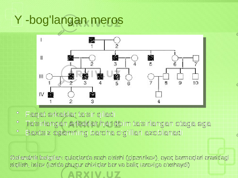 Y -bog&#39;langan meros • Faqat erkaklar ta&#39;sir qiladi • Ta&#39;sirlangan erkaklar har doim ta&#39;sirlangan otaga ega • Baxtsiz odamning barcha o&#39;g&#39;illari azoblanadi Golandrik belgilar: quloqlarda soch o&#39;sishi (gipertrikoz), oyoq barmoqlari orasidagi siqilish, ixtioz (terida chuqur chiziqlar bor va baliq taroziga o&#39;xshaydi) 