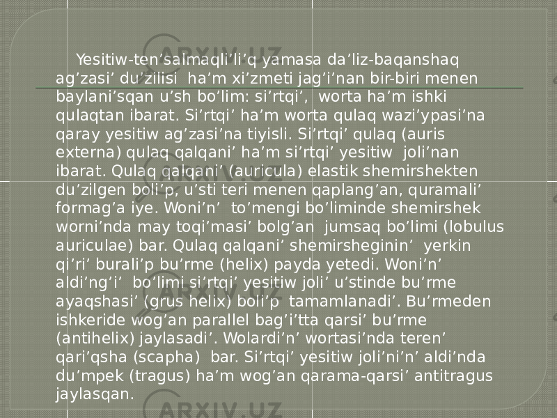  Yesitiw-ten’salmaqli’li’q yamasa da’liz-baqanshaq ag’zasi’ du’zilisi ha’m xi’zmeti jag’i’nan bir-biri menen baylani’sqan u’sh bo’lim: si’rtqi’, worta ha’m ishki qulaqtan ibarat. Si’rtqi’ ha’m worta qulaq wazi’ypasi’na qaray yesitiw ag’zasi’na tiyisli. Si’rtqi’ qulaq (auris externa) qulaq qalqani’ ha’m si’rtqi’ yesitiw joli’nan ibarat. Qulaq qalqani’ (auricula) elastik shemirshekten du’zilgen boli’p, u’sti teri menen qaplang’an, quramali’ formag’a iye. Woni’n’ to’mengi bo’liminde shemirshek worni’nda may toqi’masi’ bolg’an jumsaq bo’limi (lobulus auriculae) bar. Qulaq qalqani’ shemirsheginin’ yerkin qi’ri’ burali’p bu’rme (helix) payda yetedi. Woni’n’ aldi’ng’i’ bo’limi si’rtqi’ yesitiw joli’ u’stinde bu’rme ayaqshasi’ (grus helix) boli’p tamamlanadi’. Bu’rmeden ishkeride wog’an parallel bag’i’tta qarsi’ bu’rme (antihelix) jaylasadi’. Wolardi’n’ wortasi’nda teren’ qari’qsha (scapha) bar. Si’rtqi’ yesitiw joli’ni’n’ aldi’nda du’mpek (tragus) ha’m wog’an qarama-qarsi’ antitragus jaylasqan. 