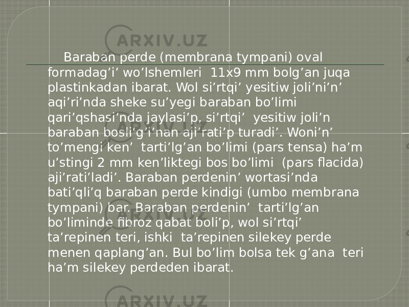  Baraban perde (membrana tympani) oval formadag’i’ wo’lshemleri 11x9 mm bolg’an juqa plastinkadan ibarat. Wol si’rtqi’ yesitiw joli’ni’n’ aqi’ri’nda sheke su’yegi baraban bo’limi qari’qshasi’nda jaylasi’p, si’rtqi’ yesitiw joli’n baraban bosli’g’i’nan aji’rati’p turadi’. Woni’n’ to’mengi ken’ tarti’lg’an bo’limi (pars tensa) ha’m u’stingi 2 mm ken’liktegi bos bo’limi (pars flacida) aji’rati’ladi’. Baraban perdenin’ wortasi’nda bati’qli’q baraban perde kindigi (umbo membrana tympani) bar. Baraban perdenin’ tarti’lg’an bo’liminde fibroz qabat boli’p, wol si’rtqi’ ta’repinen teri, ishki ta’repinen silekey perde menen qaplang’an. Bul bo’lim bolsa tek g’ana teri ha’m silekey perdeden ibarat. 