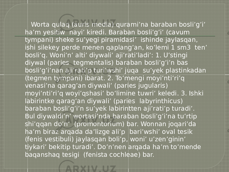  Worta qulaq (auris media) qurami’na baraban bosli’g’i’ ha’m yesitiw nayi’ kiredi. Baraban bosli’g’i’ (cavum tympani) sheke su’yegi piramidasi’ ishinde jaylasqan, ishi silekey perde menen qaplang’an, ko’lemi 1 sm3 ten’ bosli’q. Woni’n’ alti’ diywali’ aji’rati’ladi’: 1. U’stingi diywal (paries tegmentalis) baraban bosli’g’i’n bas bosli’g’i’nan aji’rati’p turi’wshi’ juqa su’yek plastinkadan (tegmen tympani) ibarat. 2. To’mengi moyi’nti’ri’q venasi’na qarag’an diywali’ (paries jugularis) moyi’nti’ri’q woyi’qshasi’ bo’limine tuwri’ keledi. 3. Ishki labirintke qarag’an diywali’ (paries labyrinthicus) baraban bosli’g’i’n su’yek labirintten aji’rati’p turadi’. Bul diywaldi’n’ wortasi’nda baraban bosli’g’i’na tu’rtip shi’qqan do’n’ (promontorium) bar. Wonnan joqari’da ha’m biraz arqada da’lizge ali’p bari’wshi’ oval tesik (fenis vestibuli) jaylasqan boli’p, woni’ u’zen’ginin’ tiykari’ bekitip turadi’. Do’n’nen arqada ha’m to’mende baqanshaq tesigi (fenista cochleae) bar. 