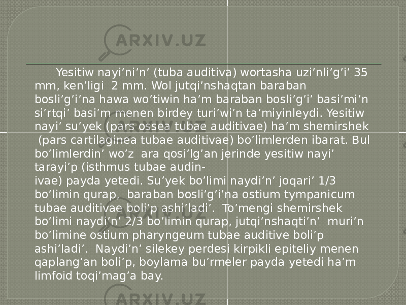  Yesitiw nayi’ni’n’ (tuba auditiva) wortasha uzi’nli’g’i’ 35 mm, ken’ligi 2 mm. Wol jutqi’nshaqtan baraban bosli’g’i’na hawa wo’tiwin ha’m baraban bosli’g’i’ basi’mi’n si’rtqi’ basi’m menen birdey turi’wi’n ta’miyinleydi. Yesitiw nayi’ su’yek (pars ossea tubae auditivae) ha’m shemirshek (pars cartilaginea tubae auditivae) bo’limlerden ibarat. Bul bo’limlerdin’ wo’z ara qosi’lg’an jerinde yesitiw nayi’ tarayi’p (isthmus tubae audin- ivae) payda yetedi. Su’yek bo’limi naydi’n’ joqari’ 1/3 bo’limin qurap, baraban bosli’g’i’na ostium tympanicum tubae auditivae boli’p ashi’ladi’. To’mengi shemirshek bo’limi naydi’n’ 2/3 bo’limin qurap, jutqi’nshaqti’n’ muri’n bo’limine ostium pharyngeum tubae auditive boli’p ashi’ladi’. Naydi’n’ silekey perdesi kirpikli epiteliy menen qaplang’an boli’p, boylama bu’rmeler payda yetedi ha’m limfoid toqi’mag’a bay. 