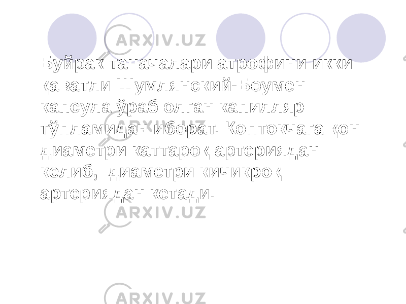 Буйрак таначалари атрофини икки қаватли Шумлянский-Боумен капсула ўраб олган капилляр тўпламидан иборат. Коптокчага қон диаметри каттароқ артериядан келиб, диаметри кичикроқ артериядан кетади. 