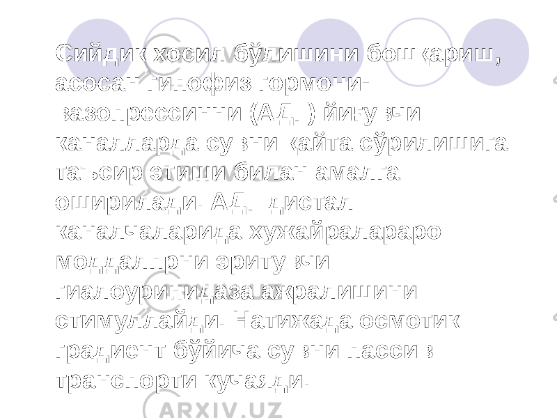 Сийдик хосил бўлишини бошқариш, асосан гипофиз гормони- вазопрессинни (АДГ) йиғувчи каналларда сувни қайта сўрилишига таъсир этиши билан амалга оширилади. АДГ дистал каналчаларида хужайралараро моддалпрни эритувчи гиалоуринидаза ажралишини стимуллайди. Натижада осмотик градиент бўйича сувни пассив транспорти кучаяди. 