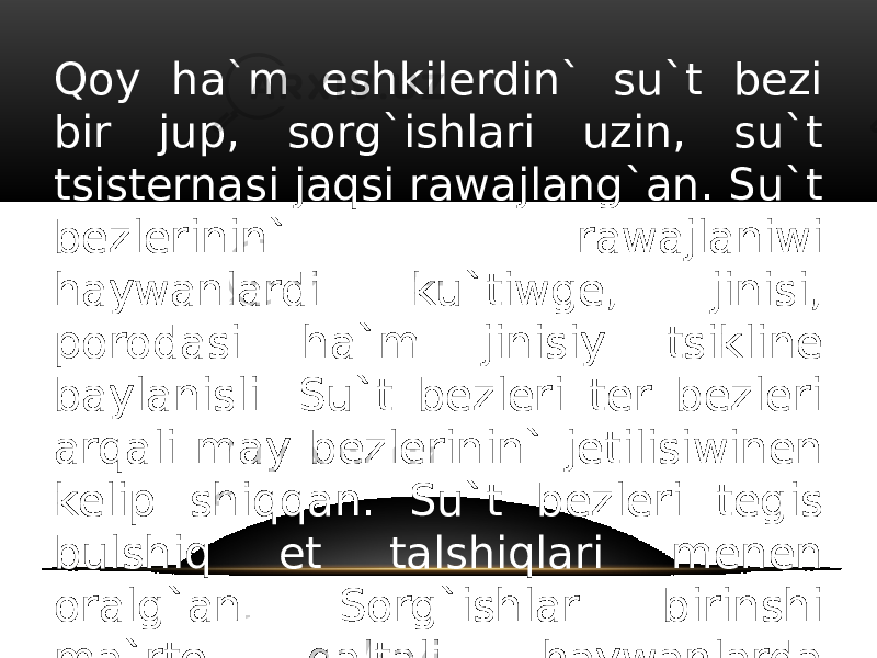 Qoy ha`m eshkilerdin` su`t bezi bir jup, sorg`ishlari uzin, su`t tsisternasi jaqsi rawajlang`an. Su`t bezlerinin` rawajlaniwi haywanlardi ku`tiwge, jinisi, porodasi ha`m jinisiy tsikline baylanisli. Su`t bezleri ter bezleri arqali may bezlerinin` jetilisiwinen kelip shiqqan. Su`t bezleri tegis bulshiq et talshiqlari menen oralg`an. Sorg`ishlar birinshi ma`rte qaltali haywanlarda (kenguru) payda bolg`an. 