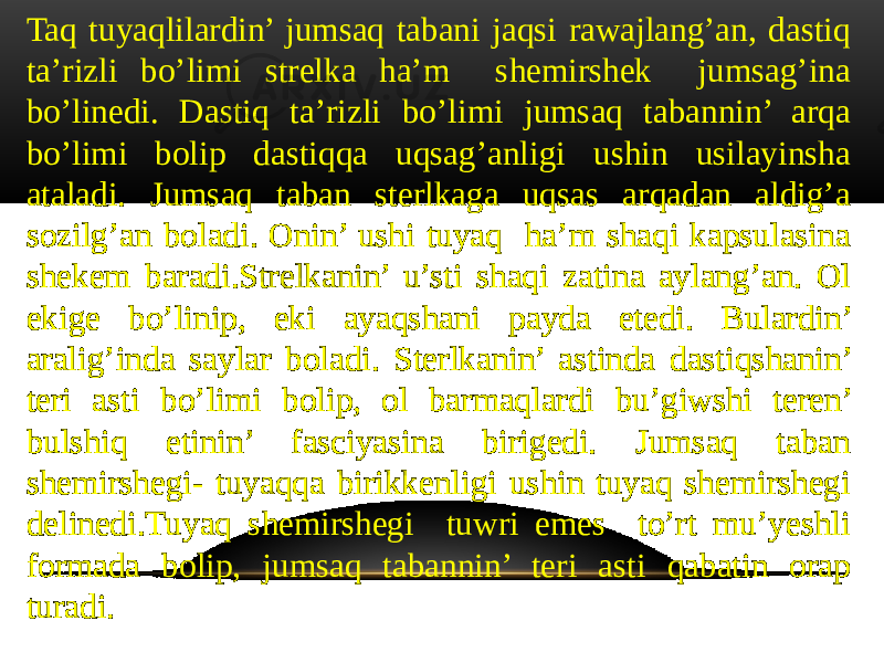 Taq tuyaqlilardin’ jumsaq tabani jaqsi rawajlang’an, dastiq ta’rizli bo’limi strelka ha’m shemirshek jumsag’ina bo’linedi. Dastiq ta’rizli bo’limi jumsaq tabannin’ arqa bo’limi bolip dastiqqa uqsag’anligi ushin usilayinsha ataladi. Jumsaq taban sterlkaga uqsas arqadan aldig’a sozilg’an boladi. Onin’ ushi tuyaq ha’m shaqi kapsulasina shekem baradi.Strelkanin’ u’sti shaqi zatina aylang’an. Ol ekige bo’linip, eki ayaqshani payda etedi. Bulardin’ aralig’inda saylar boladi. Sterlkanin’ astinda dastiqshanin’ teri asti bo’limi bolip, ol barmaqlardi bu’giwshi teren’ bulshiq etinin’ fasciyasina birigedi. Jumsaq taban shemirshegi- tuyaqqa birikkenligi ushin tuyaq shemirshegi delinedi.Tuyaq shemirshegi tuwri emes to’rt mu’yeshli formada bolip, jumsaq tabannin’ teri asti qabatin orap turadi. 