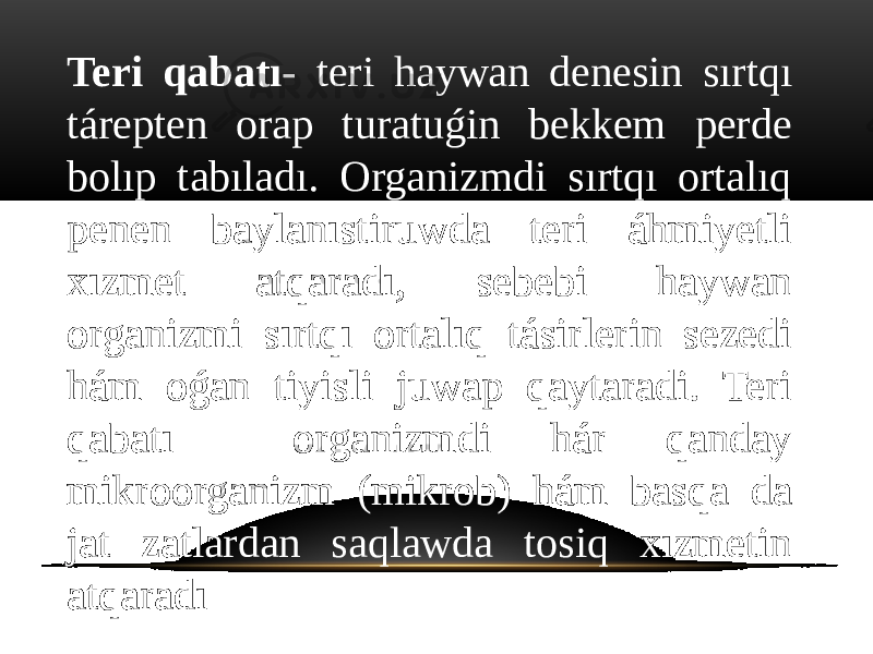 Teri qabatı- teri haywan denesin sırtqı tárepten orap turatuǵin bekkem perde bolıp tabıladı. Organizmdi sırtqı ortalıq penen baylanıstiruwda teri áhmiyetli xızmet atqaradı, sebebi haywan organizmi sırtqı ortalıq tásirlerin sezedi hám oǵan tiyisli juwap qaytaradi. Teri qabatı organizmdi hár qanday mikroorganizm (mikrob) hám basqa da jat zatlardan saqlawda tosiq xızmetin atqaradı 