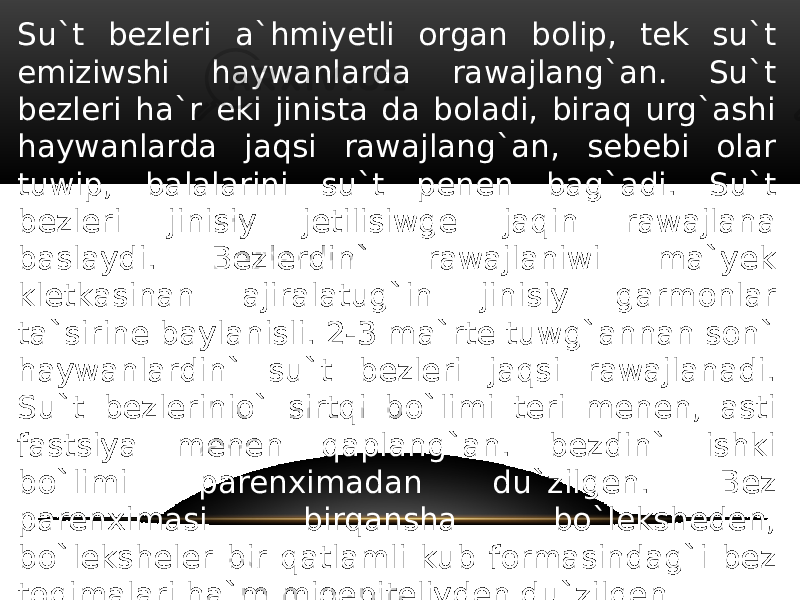 Su`t bezleri a`hmiyetli organ bolip, tek su`t emiziwshi haywanlarda rawajlang`an. Su`t bezleri ha`r eki jinista da boladi, biraq urg`ashi haywanlarda jaqsi rawajlang`an, sebebi olar tuwip, balalarini su`t penen bag`adi. Su`t bezleri jinisiy jetilisiwge jaqin rawajlana baslaydi. Bezlerdin` rawajlaniwi ma`yek kletkasinan ajiralatug`in jinisiy garmonlar ta`sirine baylanisli. 2-3 ma`rte tuwg`annan son` haywanlardin` su`t bezleri jaqsi rawajlanadi. Su`t bezlerinio` sirtqi bo`limi teri menen, asti fastsiya menen qaplang`an. bezdin` ishki bo`limi parenximadan du`zilgen. Bez parenximasi birqansha bo`leksheden, bo`leksheler bir qatlamli kub formasindag`i bez toqimalari ha`m mioepiteliyden du`zilgen. 