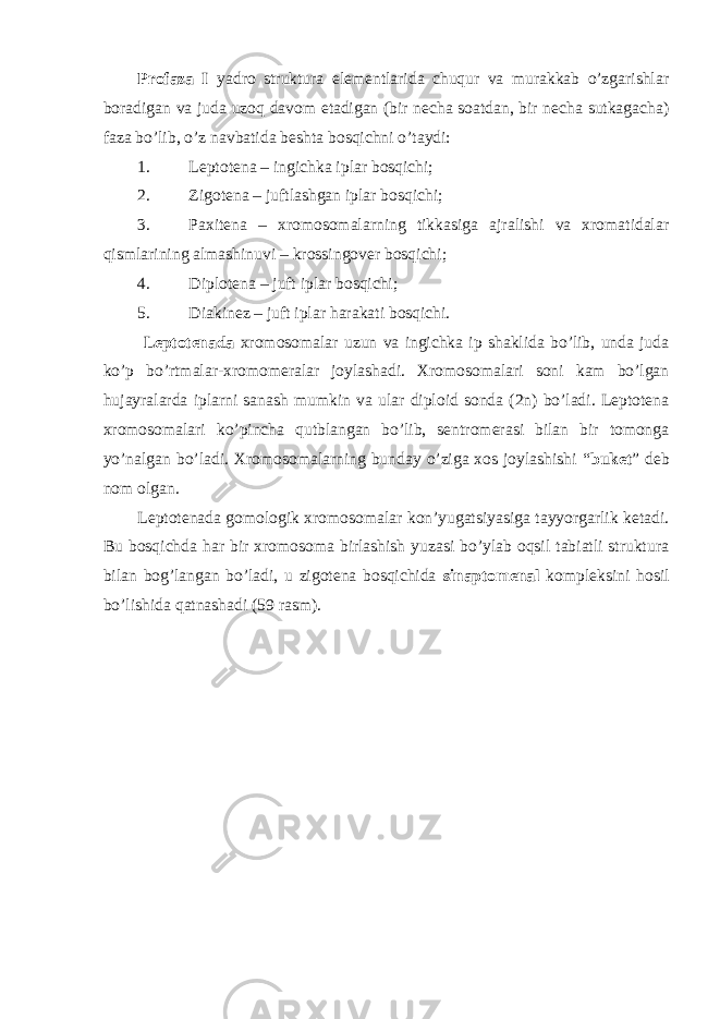 Profaza I yadro struktura elementlarida chuqur va murakkab o’zgarishlar boradigan va juda uzoq davom etadigan (bir necha soatdan, bir necha sutkagacha) faza bo’lib, o’z navbatida beshta bosqichni o’taydi: 1. Leptotena – ingichka iplar bosqichi; 2. Zigotena – juftlashgan iplar bosqichi; 3. Paxitena – xromosomalarning tikkasiga ajralishi va xromatidalar qismlarining almashinuvi – krossingover bosqichi; 4. Diplotena – juft iplar bosqichi; 5. Diakinez – juft iplar harakati bosqichi. Leptotenada xromosomalar uzun va ingichka ip shaklida bo’lib, unda juda ko’p bo’rtmalar-xromomeralar joylashadi. Xromosomalari soni kam bo’lgan hujayralarda iplarni sanash mumkin va ular diploid sonda (2n) bo’ladi. Leptotena xromosomalari ko’pincha qutblangan bo’lib, sentromerasi bilan bir tomonga yo’nalgan bo’ladi. Xromosomalarning bunday o’ziga xos joylashishi “ buket ” deb nom olgan. Leptotenada gomologik xromosomalar kon’yugatsiyasiga tayyorgarlik ketadi. Bu bosqichda har bir xromosoma birlashish yuzasi bo’ylab oqsil tabiatli struktura bilan bog’langan bo’ladi, u zigotena bosqichida sinaptomenal kompleksini hosil bo’lishida qatnashadi (59 rasm). 