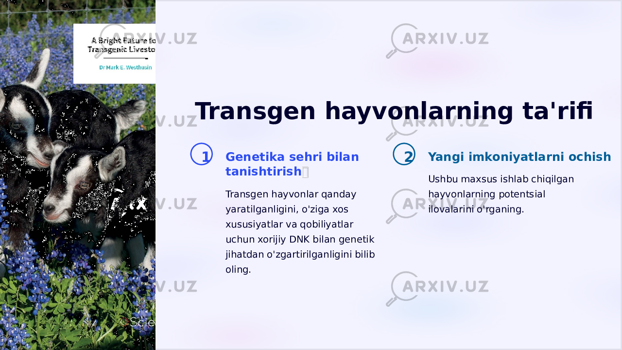 Transgen hayvonlarning ta&#39;rifi 1 Genetika sehri bilan tanishtirish &#55358;&#56812; Transgen hayvonlar qanday yaratilganligini, o&#39;ziga xos xususiyatlar va qobiliyatlar uchun xorijiy DNK bilan genetik jihatdan o&#39;zgartirilganligini bilib oling. 2 Yangi imkoniyatlarni ochish Ushbu maxsus ishlab chiqilgan hayvonlarning potentsial ilovalarini o&#39;rganing. 