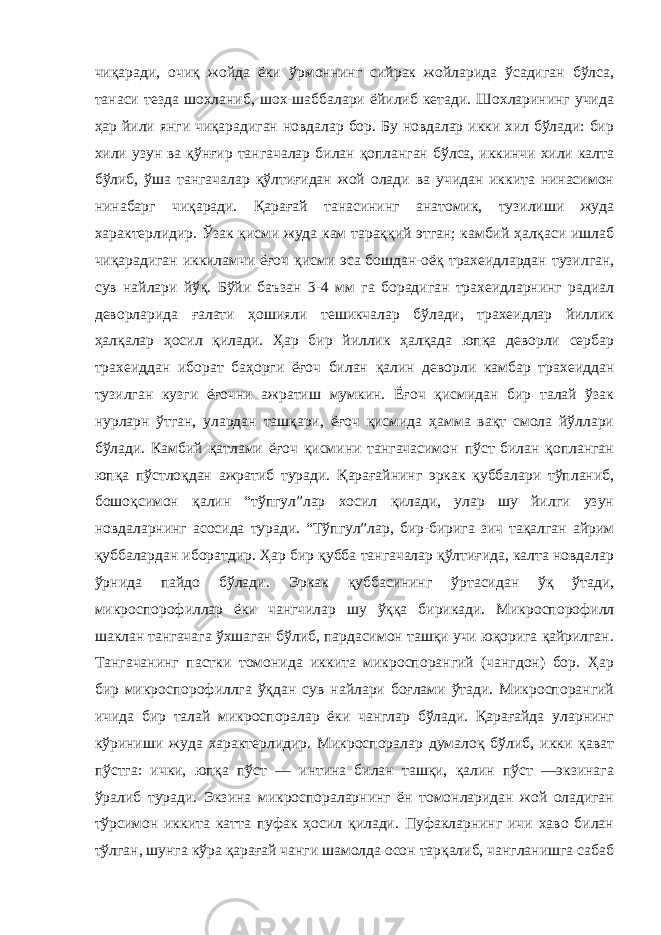 чиқаради, очиқ жойда ёки ўрмоннинг сийрак жойларида ўсадиган бўлса, танаси тезда шохланиб, шох-шаббалари ёйилиб кетади. Шохларининг учида ҳар йили янги чиқарадиган новдалар бор. Бу новдалар икки хил бўлади: бир хили узун ва қўнғир тангачалар билан қопланган бўлса, иккинчи хили калта бўлиб, ўша тангачалар қўлтиғидан жой олади ва учидан иккита нинасимон нинабарг чиқаради. Қарағай танасининг анатомик, тузилиши жуда характерлидир. Ўзак қисми жуда кам тараққий этган; камбий ҳалқаси ишлаб чиқарадиган иккиламчи ёғоч қисми эса бошдан-оёқ трахеидлардан тузилган, сув найлари йўқ. Бўйи баъзан 3-4 мм га борадиган трахеидларнинг радиал деворларида ғалати ҳошияли тешикчалар бўлади, трахеидлар йиллик ҳалқалар ҳосил қилади. Ҳар бир йиллик ҳалқада юпқа деворли сербар трахеиддан иборат баҳорги ёғоч билан қалин деворли камбар трахеиддан тузилган кузги ёғочни ажратиш мумкин. Ёғоч қисмидан бир талай ўзак нурларн ўтган, улардан ташқари, ёғоч қисмида ҳамма вақт смола йўллари бўлади. Камбий қатлами ёғоч қисмини тангачасимон пўст билан қопланган юпқа пўстлоқдан ажратиб туради. Қарағайнинг эркак қуббалари тўпланиб, бошоқсимон қалин “тўпгул”лар хосил қилади, улар шу йилги узун новдаларнинг асосида туради. “Тўпгул”лар, бир-бирига зич тақалган айрим қуббалардан иборатдир. Ҳар бир қубба тангачалар қўлтиғида, калта новдалар ўрнида пайдо бўлади. Эркак қуббасининг ўртасидан ўқ ўтади, микроспорофиллар ёки чангчилар шу ўққа бирикади. Микроспорофилл шаклан тангачага ўхшаган бўлиб, пардасимон ташқи учи юқорига қайрилган. Тангачанинг пастки томонида иккита микроспорангий (чангдон) бор. Ҳар бир микроспорофиллга ўқдан сув найлари боғлами ўтади. Микроспорангий ичида бир талай микроспоралар ёки чанглар бўлади. Қарағайда уларнинг кўриниши жуда характерлидир. Микроспоралар думалоқ бўлиб, икки қават пўстга: ички, юпқа пўст — интина билан ташқи, қалин пўст —экзинага ўралиб туради. Экзина микроспораларнинг ён томонларидан жой оладиган тўрсимон иккита катта пуфак ҳосил қилади. Пуфакларнинг ичи хаво билан тўлган, шунга кўра қарағай чанги шамолда осон тарқалиб, чангланишга сабаб 