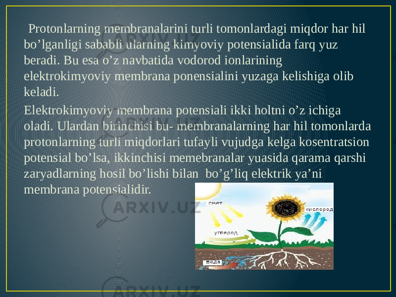  Protonlarning membranalarini turli tomonlardagi miqdor har hil bo’lganligi sababli ularning kimyoviy potensialida farq yuz beradi. Bu esa o’z navbatida vodorod ionlarining elektrokimyoviy membrana ponensialini yuzaga kelishiga olib keladi. Elektrokimyoviy membrana potensiali ikki holtni o’z ichiga oladi. Ulardan birinchisi bu- membranalarning har hil tomonlarda protonlarning turli miqdorlari tufayli vujudga kelga kosentratsion potensial bo’lsa, ikkinchisi memebranalar yuasida qarama qarshi zaryadlarning hosil bo’lishi bilan bo’g’liq elektrik ya’ni membrana potensialidir. 