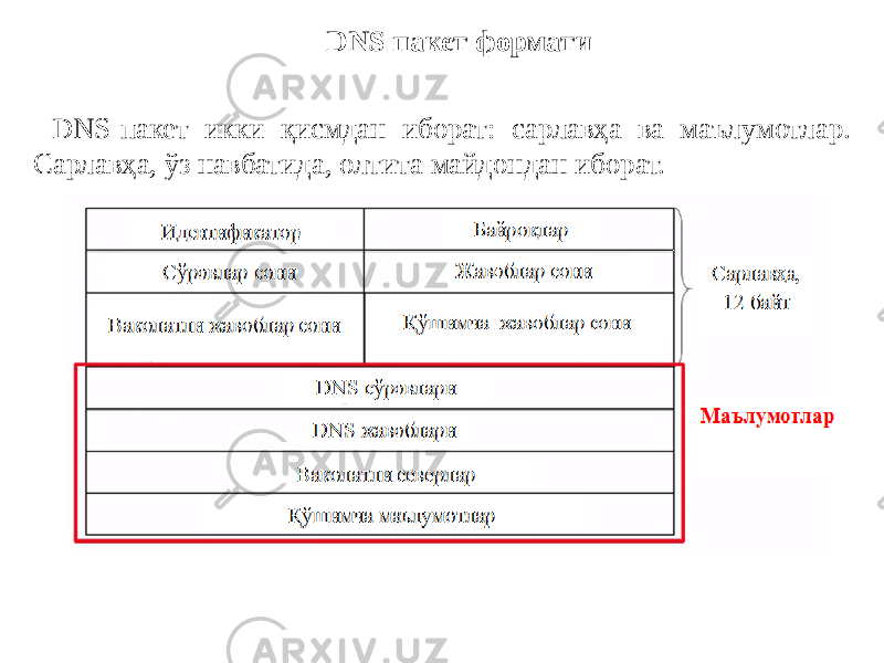 DNS-пакет икки қисмдан иборат: сарлавҳа ва маълумотлар. Сарлавҳа, ўз навбатида, олтита майдондан иборат. DNS пакет формати 