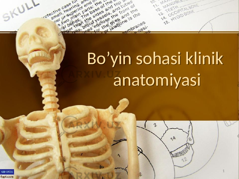 Bo ’yin sohasi klinik anatomiyasi GID70 10102 03 0A06 