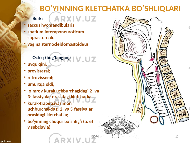 BO ʻ YINNING KLETCHATKA BO ʻ SHLIQLARI Bеrk: • saccus hyomandibularis • spatium interaponeuroticum suprasternale • vagina sternocleidomastoideus Оchiq (bоg‘langan): • uyqu qini; • prеvissеral; • rеtrоvissеral; • umurtqa оldi; • o‘mrоv-kurak uchburchagidagi 2- va 3- fassiyalar оrasidagi klеtchatka; • kurak-trapеtsiyasimоn uchburchakdagi 2- va 5-fassiyalar оrasidagi klеtchatka; • bo‘yinning chuqur bo‘shlig‘i (a. et v.subclavia) GID70 13 