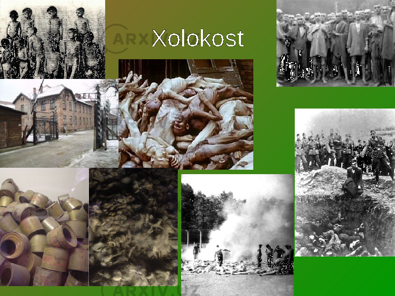 Xolokost 