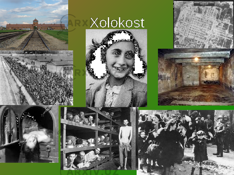 Xolokost 