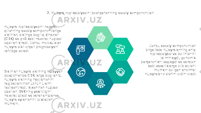 2. Hujayra replikatsiyasini boshqarishning asosiy komponentlari Hujayra replikatsiyasini nazorat qilishning asosiy komponentlariga siklinlar, siklinga bog&#39;liq kinazlar (CDK) va p53 kabi nazorat nuqtasi oqsillari kiradi. Ushbu molekulalar hujayra sikli orqali progressiyani tartibga soladi. Siklinlar hujayra siklining muayyan bosqichlarida CDK larga bog&#39;lanib, hujayra siklining rivojlanishini rag&#39;batlantirish uchun ularni faollashtiradi. Tekshirish nuqtasi oqsillari DNKning yaxlitligini nazorat qiladi va zarar aniqlansa, hujayra aylanishini to&#39;xtatishi mumkin. Ushbu asosiy komponentlar birgalikda hujayralarning aniq replikatsiyasi va bo&#39;linishini ta&#39;minlaydi, genomik barqarorlikni saqlaydi va saraton kabi kasalliklarga olib kelishi mumkin bo&#39;lgan anormal hujayralar o&#39;sishini oldini oladi. 