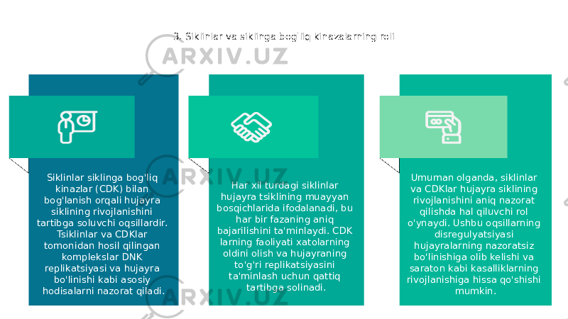 3. Siklinlar va siklinga bog&#39;liq kinazalarning roli Siklinlar siklinga bog&#39;liq kinazlar (CDK) bilan bog&#39;lanish orqali hujayra siklining rivojlanishini tartibga soluvchi oqsillardir. Tsiklinlar va CDKlar tomonidan hosil qilingan komplekslar DNK replikatsiyasi va hujayra bo&#39;linishi kabi asosiy hodisalarni nazorat qiladi. Har xil turdagi siklinlar hujayra tsiklining muayyan bosqichlarida ifodalanadi, bu har bir fazaning aniq bajarilishini ta&#39;minlaydi. CDK larning faoliyati xatolarning oldini olish va hujayraning to&#39;g&#39;ri replikatsiyasini ta&#39;minlash uchun qattiq tartibga solinadi. Umuman olganda, siklinlar va CDKlar hujayra siklining rivojlanishini aniq nazorat qilishda hal qiluvchi rol o&#39;ynaydi. Ushbu oqsillarning disregulyatsiyasi hujayralarning nazoratsiz bo&#39;linishiga olib kelishi va saraton kabi kasalliklarning rivojlanishiga hissa qo&#39;shishi mumkin. 