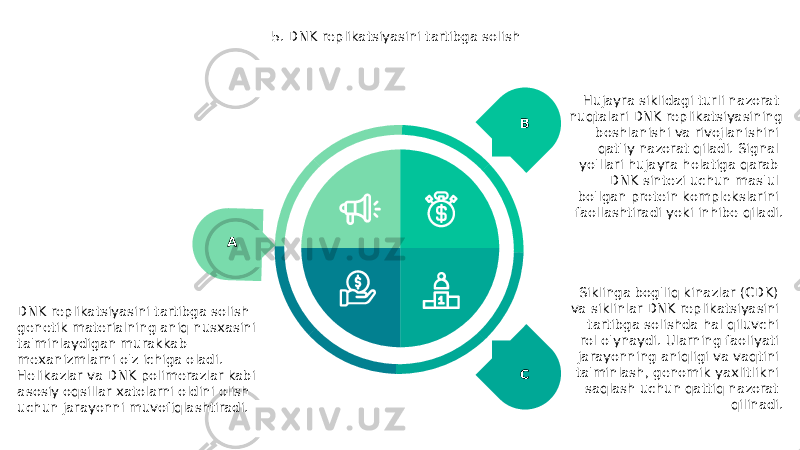 5. DNK replikatsiyasini tartibga solish A DNK replikatsiyasini tartibga solish genetik materialning aniq nusxasini ta&#39;minlaydigan murakkab mexanizmlarni o&#39;z ichiga oladi. Helikazlar va DNK polimerazlar kabi asosiy oqsillar xatolarni oldini olish uchun jarayonni muvofiqlashtiradi. B Hujayra siklidagi turli nazorat nuqtalari DNK replikatsiyasining boshlanishi va rivojlanishini qat&#39;iy nazorat qiladi. Signal yo&#39;llari hujayra holatiga qarab DNK sintezi uchun mas&#39;ul bo&#39;lgan protein komplekslarini faollashtiradi yoki inhibe qiladi. C Siklinga bog&#39;liq kinazlar (CDK) va siklinlar DNK replikatsiyasini tartibga solishda hal qiluvchi rol o&#39;ynaydi. Ularning faoliyati jarayonning aniqligi va vaqtini ta&#39;minlash, genomik yaxlitlikni saqlash uchun qattiq nazorat qilinadi. 