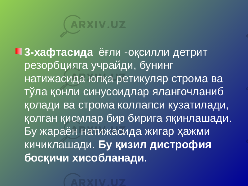 3-хафтасида ёғли -оқсилли детрит резорбцияга учрайди, бунинг натижасида юпқа ретикуляр строма ва тўла қонли синусоидлар яланғочланиб қолади ва строма коллапси кузатилади, қолган қисмлар бир бирига яқинлашади. Бу жараён натижасида жигар ҳажми кичиклашади. Бу қизил дистрофия босқичи хисобланади. 