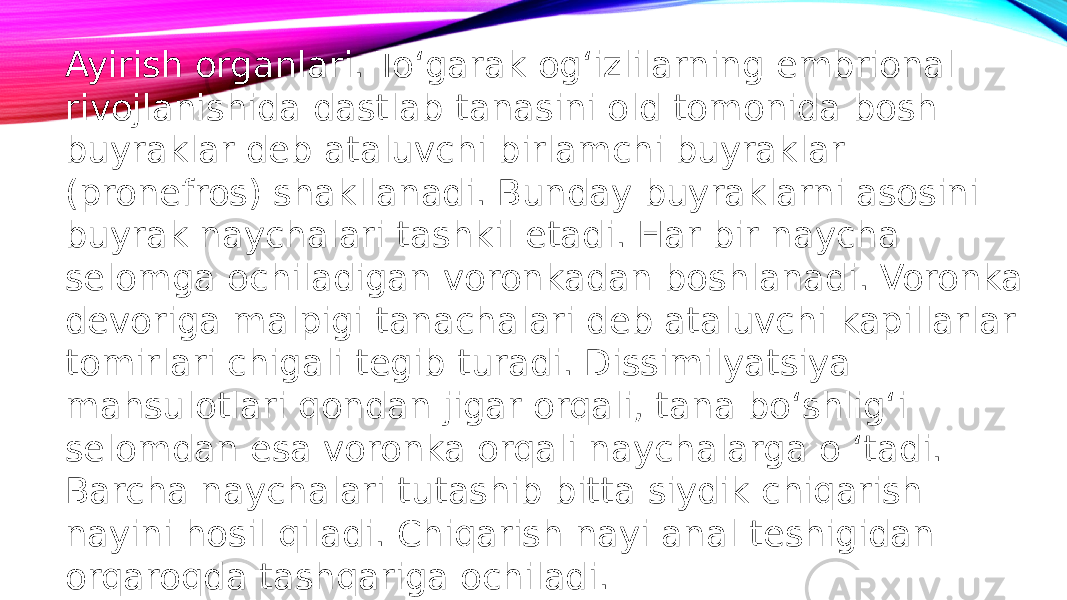 Ayirish organlari. To‘garak og‘izlilarning embrional rivojlanishida dastlab tanasini old tomonida bosh buyraklar deb ataluvchi birlamchi buyraklar (pronefros) shakllanadi. Bunday buyraklarni asosini buyrak naychalari tashkil etadi. Har bir naycha selomga ochiladigan voronkadan boshlanadi. Voronka devoriga malpigi tanachalari deb ataluvchi kapillarlar tomirlari chigali tegib turadi. Dissimilyatsiya mahsulotlari qondan jigar orqali, tana bo‘shlig‘i selomdan esa voronka orqali naychalarga o ‘tadi. Barcha naychalari tutashib bitta siydik chiqarish nayini hosil qiladi. Chiqarish nayi anal teshigidan orqaroqda tashqariga ochiladi. 