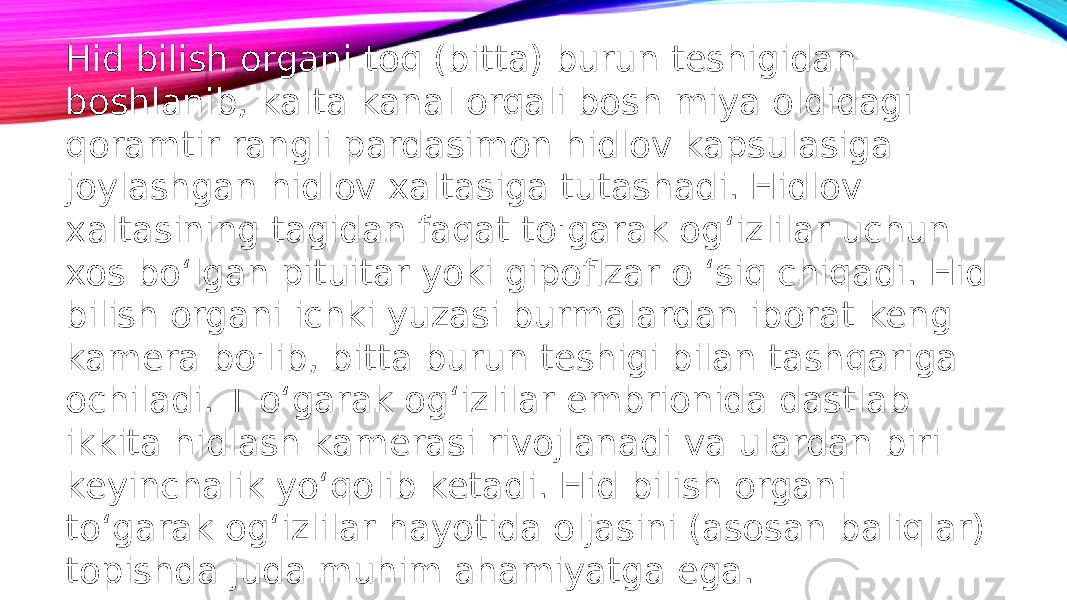 Hid bilish organi toq (bitta) burun teshigidan boshlanib, kalta kanal orqali bosh miya oldidagi qoramtir rangli pardasimon hidlov kapsulasiga joylashgan hidlov xaltasiga tutashadi. Hidlov xaltasining tagidan faqat to&#39;garak og‘izlilar uchun xos bo‘lgan pituitar yoki gipoflzar o ‘siq chiqadi. Hid bilish organi ichki yuzasi burmalardan iborat keng kamera bo&#39;lib, bitta burun teshigi bilan tashqariga ochiladi. T o‘garak og‘izlilar embrionida dastlab ikkita hidlash kamerasi rivojlanadi va ulardan biri keyinchalik yo‘qolib ketadi. Hid bilish organi to‘garak og‘izlilar hayotida oljasini (asosan baliqlar) topishda juda muhim ahamiyatga ega. 