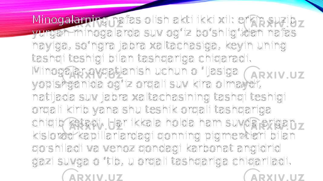 Minogalarning nafas olish akti ikki xil: erkin suzib yurgan minogalarda suv og‘iz bo‘shlig‘idan nafas nayiga, so‘ngra jabra xaltachasiga, keyin uning tashqi teshigi bilan tashqariga chiqaradi. Minogalar ovqatlanish uchun o ‘ljasiga yopishganida og‘iz orqali suv kira olmaydi, natijada suv jabra xaltachasining tashqi teshigi orqali kirib yana shu teshik orqali tashqariga chiqib ketadi. Har ikkala holda ham suvda erigan kislorod kapillarlardagi qonning pigmentlari bilan qo&#39;shiladi va venoz qondagi karbonat angidrid gazi suvga o ‘tib, u orqali tashqariga chiqariladi. 