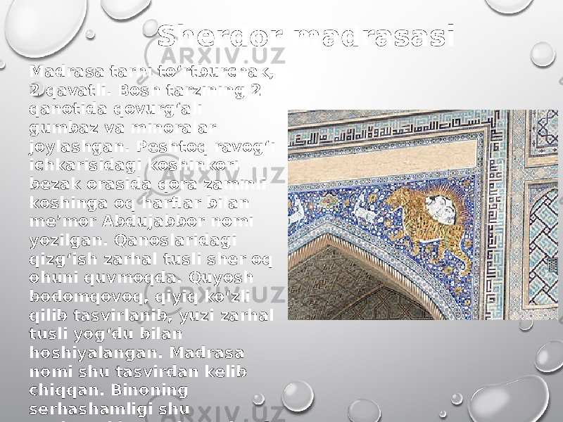 Madrasa tarhi toʻrtburchak, 2 qavatli. Bosh tarzining 2 qanotida qovurgʻali gumbaz va minoralar joylashgan. Peshtoq ravogʻi ichkarisidagi koshinkori bezak orasida qora zaminli koshinga oq harflar bilan meʼmor Abdujabbor nomi yozilgan. Qanoslaridagi qizgʻish zarhal tusli sher oq ohuni quvmoqda. Quyosh bodomqovoq, qiyiq koʻzli qilib tasvirlanib, yuzi zarhal tusli yogʻdu bilan hoshiyalangan. Madrasa nomi shu tasvirdan kelib chiqqan. Binoning serhashamligi shu peshtogʻida. Peshtoqning 2 tomonida gumbazli darsxona va masjid joylashgan. Sherdor madrasasi 