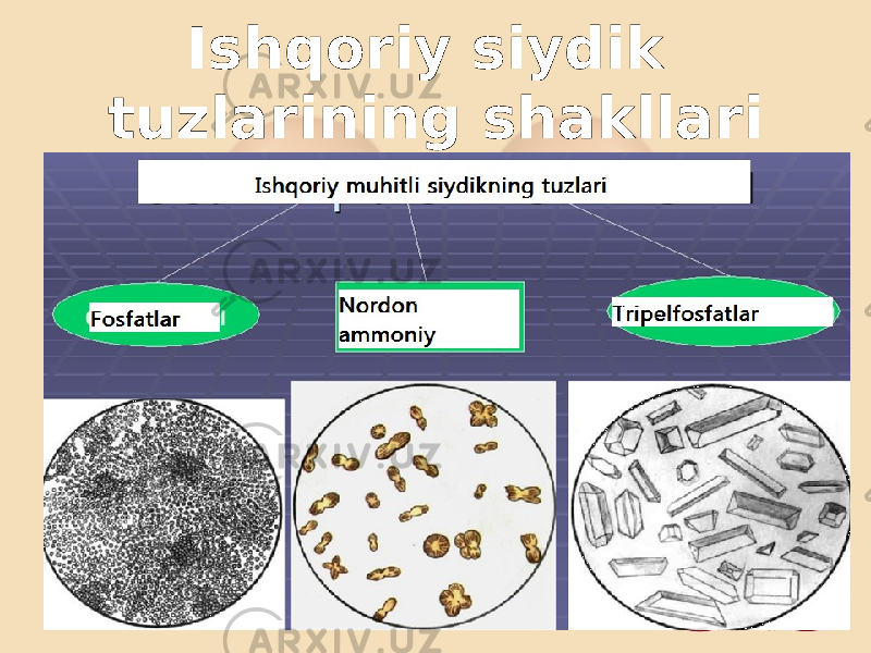 Ishqoriy siydik tuzlarining shakllari 