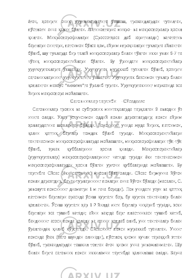 ёғоч, ҳозирги очиқ уруғлилардагига ўхшаш, трахеидлардан тузилган, пўстлоғн анча қалин бўлган. Лйгиноптерис микро- ва макроспоралар ҳосил қилган. Микроспорофиллари (Cроссотҳеcа деб юритилади) вегетатив барглари сингари, патсимон бўлса ҳам, айрим япроқчалари тукларга айланган бўлиб, шу тукларда бир талай микроспоралар билан тўлган икки уяли 6-7 та чўзиқ микроспорангийлари бўлган. Бу ўриндаги микроспорангийлар уруғкуртакларга ўхшайди. Уруғкуртак мураккаб тузилган бўлиб, ҳозирги саговникларнинг уруғкуртагига ўхшаган. Уруғкуртак безсимон туклар билан қопланган махсус “ плюска ”га ўралиб турган. Уруғкуртакнинг марказида эса йирик макроспора жойлашган. Саговниклар тартиби — Cйcадалес Саговниклар тропик ва субтропик минтақаларда тарқалган 9 авлодни ўз ичига олади. Улар устунсимон оддий пояли дарахтлардир; пояси айрим ҳоллардагина шохланган бўлади. Поясининг учида жуда йирик, патсимон, қалин қаттиқ барглар тождек бўлиб туради. Микроспорангийлари тангачасимон микроспорофилларда жойлашган, микроспорофиллари тўп-тўп бўлиб, эркак қуббаларини ҳосил қилади. Макроспорангийлар (уруғкуртаклар) макроспорофилларнинг четида туради ёки тангачасимон макроспорофиллардан ҳосил бўлган урғочи қуббаларида жойлашган. Бу тартибга Cйcас (ёки саговник) мисол бўла олади. Cйcас бирмунча йўғон пояли дарахтдир, баъзи турларининг поялари анча йўғон бўлади (масалан, C. револута поясининг диаметри 1 м гача боради). Поя учидаги узун ва қаттиқ патсимон барглари орасида ўсиш куртаги бор, бу куртак тангачалар билан қопланган. Ўсиш куртаги ҳар 1-2 йилда янги барглар чиқариб туради, эски барглари эса тушиб кетади; айни вақтда барг пластинкаси тушиб кетиб, бандининг асоси пояда қолади ва юзини қоплаб олиб, уни тангачалар билан ўралгандек қилиб кўрсатади. Cйcаснинг пояси мураккаб тузилган. Унинг поясида ўзак (саго шундан олинади), пўстлоқ қисми кучли тараққий этган бўлиб, трахеидлардан ташкил топган ёғоч қисми унча ривожланмаган. Шу билан бирга саговник пояси иккиламчи тартибда қалинлаша олади. Барча 