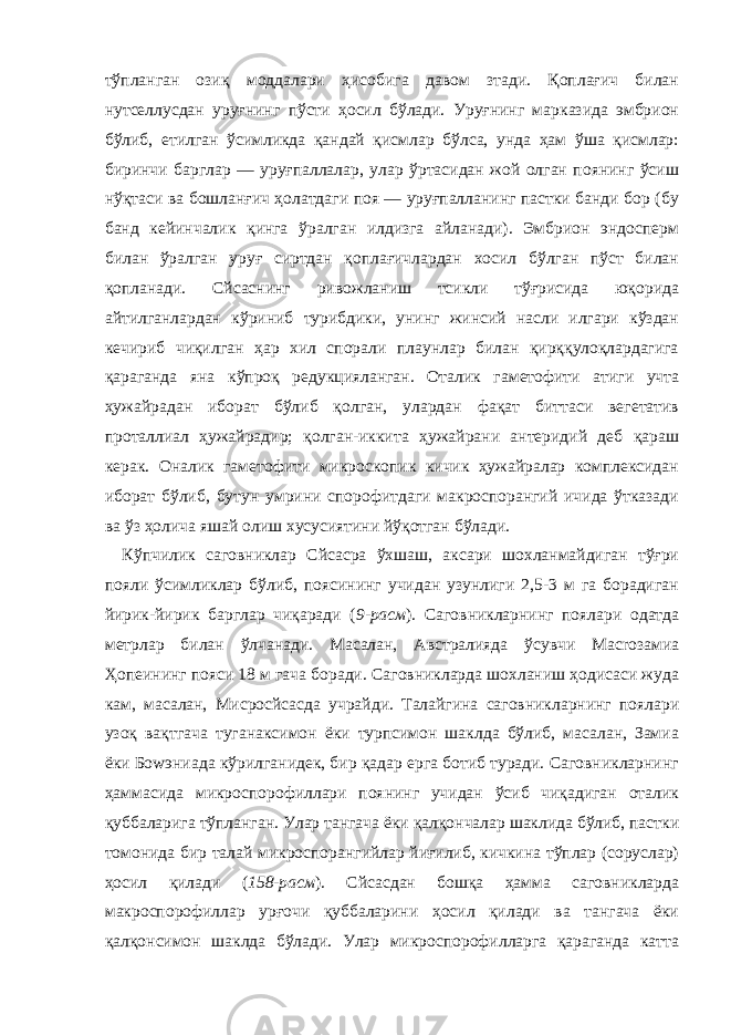 тўпланган озиқ моддалари ҳисобига давом зтади. Қоплағич билан нутселлусдан уруғнинг пўсти ҳосил бўлади. Уруғнинг марказида эмбрион бўлиб, етилган ўсимликда қандай қисмлар бўлса, унда ҳам ўша қисмлар: биринчи барглар — уруғпаллалар, улар ўртасидан жой олган поянинг ўсиш нўқтаси ва бошланғич ҳолатдаги поя — уруғпалланинг пастки банди бор (бу банд кейинчалик қинга ўралган илдизга айланади). Эмбрион эндосперм билан ўралган уруғ сиртдан қоплағичлардан хосил бўлган пўст билан қопланади. Cйcаснинг ривожланиш тсикли тўғрисида юқорида айтилганлардан кўриниб турибдики, унинг жинсий насли илгари кўздан кечириб чиқилган ҳар хил спорали плаунлар билан қирққулоқлардагига қараганда яна кўпроқ редукцияланган. Оталик гаметофити атиги учта ҳужайрадан иборат бўлиб қолган, улардан фақат биттаси вегетатив проталлиал ҳужайрадир; қолган-иккита ҳужайрани антеридий деб қараш керак. Оналик гаметофити микроскопик кичик ҳужайралар комплексидан иборат бўлиб, бутун умрини спорофитдаги макроспорангий ичида ўтказади ва ўз ҳолича яшай олиш хусусиятини йўқотган бўлади. Кўпчилик саговниклар Cйcасра ўхшаш, аксари шохланмайдиган тўғри пояли ўсимликлар бўлиб, поясининг учидан узунлиги 2,5-3 м га борадиган йирик-йирик барглар чиқаради ( 9 -расм ). Саговникларнинг поялари одатда метрлар билан ўлчанади. Масалан, Австралияда ўсувчи Macroзамиа Ҳопеининг пояси 18 м гача боради. Саговникларда шохланиш ҳодисаси жуда кам, масалан, Миcроcйcасда учрайди. Талайгина саговникларнинг поялари узоқ вақтгача туганаксимон ёки турпсимон шаклда бўлиб, масалан, Замиа ёки Боwэниада кўрилганидек, бир қадар ерга ботиб туради. Саговникларнинг ҳаммасида микроспорофиллари поянинг учидан ўсиб чиқадиган оталик қуббаларига тўпланган. Улар тангача ёки қалқончалар шаклида бўлиб, пастки томонида бир талай микроспорангийлар йиғилиб, кичкина тўплар (соруслар) ҳосил қилади ( 158-расм ). Cйcасдан бошқа ҳамма саговникларда макроспорофиллар урғочи қуббаларини ҳосил қилади ва тангача ёки қалқонсимон шаклда бўлади. Улар микроспорофилларга қараганда катта 