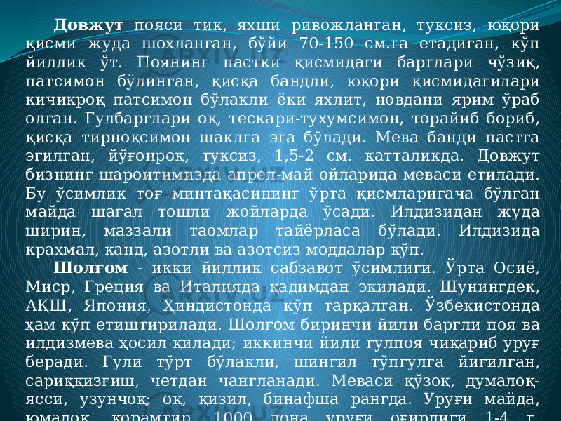 Довжут пояси тик, яхши ривожланган, туксиз, юқори қисми жуда шохланган, бўйи 70-150 см.га етадиган, кўп йиллик ўт. Поянинг пастки қисмидаги барглари чўзиқ, патсимон бўлинган, қисқа бандли, юқори қисмидагилари кичикроқ патсимон бўлакли ёки яхлит, новдани ярим ўраб олган. Гулбарглари оқ, тескари-тухумсимон, торайиб бориб, қисқа тирноқсимон шаклга эга бўлади. Мева банди пастга эгилган, йўғонроқ, туксиз, 1,5-2 см. катталикда. Довжут бизнинг шароитимизда апрел-май ойларида меваси етилади. Бу ўсимлик тоғ минтақасининг ўрта қисмларигача бўлган майда шағал тошли жойларда ўсади. Илдизидан жуда ширин, маззали таомлар тайёрласа бўлади. Илдизида крахмал, қанд, азотли ва азотсиз моддалар кўп. Шолғом - икки йиллик сабзавот ўсимлиги. Ўрта Осиё, Миср, Греция ва Италияда қадимдан экилади. Шунингдек, АҚШ, Япония, Ҳиндистонда кўп тарқалган. Ўзбекистонда ҳам кўп етиштирилади. Шолғом биринчи йили баргли поя ва илдизмева ҳосил қилади; иккинчи йили гулпоя чиқариб уруғ беради. Гули тўрт бўлакли, шингил тўпгулга йиғилган, сариққизғиш, четдан чангланади. Меваси қўзоқ, думалоқ- ясси, узунчоқ; оқ, қизил, бинафша рангда. Уруғи майда, юмалоқ, қорамтир. 1000 дона уруғи оғирлиги 1-4 г. Ўзбекистонда июль-август бошларида экилади. Уруғи ҳарорати 2-3°ли тупроқда униб чиқади, 18-20°да яхши ривожланади (бунда уруғ 2-4 кунда тўлиқ униб чиқади). 