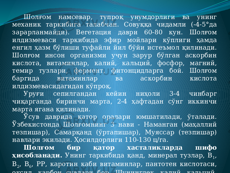 Шолғом намсевар, тупроқ унумдорлиги ва унинг механик таркибига талабчан. Совуққа чидамли (-4-5°да зарарланмайди). Вегетация даври 60-80 кун. Шолғом илдизмеваси таркибида эфир мойлари кўплиги ҳамда енгил ҳазм бўлиши туфайли йил бўйи истеъмол қилинади. Шолғом инсон организми учун зарур бўлган аскорбин кислота, витаминлар, калий, кальций, фосфор, магний, темир тузлари, фермент, фитонцидларга бой. Шолғом баргида витаминлар ва аскорбин кислота илдизмевасидагидан кўпроқ. Уруғи сепилгандан кейин ниҳоли 3-4 чинбарг чиқарганда биринчи марта, 2-4 ҳафтадан сўнг иккинчи марта ягана қилинади. Ўсув даврида қатор оралари юмшатилади, ўталади. Ўзбекистонда Шолғомнинг 3 нави - Наманган (маҳаллий тезпишар), Самарқанд (ўртапишар), Муяссар (тезпишар) навлари экилади. Ҳосилдорлиги 110-130 ц/га. Шолғом бир қатор хасталикларда шифо ҳисобланади. Унинг таркибида қанд, минерал тузлар, В 1 , В 2 , В 6 , РР, каротин каби витаминлар, пантотен кислотаси, оқсил, карбон сувлари бор. Шунингдек, калий, кальций, темир, фосфор, натрий каби моддалар ҳам мавжуд. 