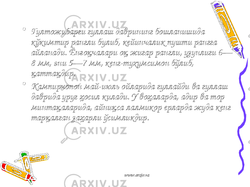 • Гултожибарги гуллаш даврининг бошланишида кўкимтир рангли булиб, кейинчалик пушти рангга айланади. Ёнғоқчалари оқ жигар рангли, узунлиги 6— 8 мм, эни 5—7 мм, кенг-тухумсимон бўлиб, қаттақдир. • Кампирчопон май-июль ойларида гуллайди ва гуллаш даврида уруг ҳосил килади. У воҳаларда, адир ва тор минтақаларида, айниқса лалмикор ерларда жуда кенг тарқалган заҳарли ўсимликдир. www.arxiv.uz 