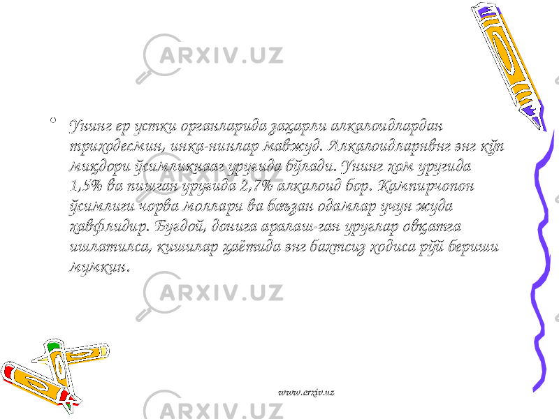 • Унинг ер устки органларида заҳарли алкалоидлардан триходесмин, инка-нинлар мавжуд. Алкалоидларнвнг энг кўп миқдори ўсимликнааг уруғида бўлади. Унинг хом уругида 1,5% ва пишган уруғида 2,7% алкалоид бор. Кампирчопон ўсимлиги чорва моллари ва баъзан одамлар учун жуда хавфлидир. Буғдой, донига аралаш-ган уруғлар овқатга ишлатилса, кишилар ҳаётида энг бахтсиз ходиса рўй бериши мумкин. www.arxiv.uz 