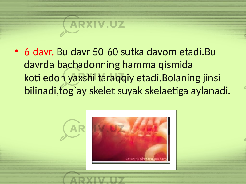 • 6-davr. Bu davr 50-60 sutka davom etadi.Bu davrda bachadonning hamma qismida kotiledon yaxshi taraqqiy etadi.Bolaning jinsi bilinadi,tog`ay skelet suyak skelaetiga aylanadi. 