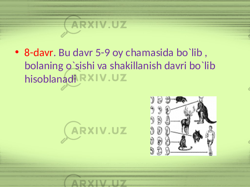 • 8-davr . Bu davr 5-9 oy chamasida bo`lib , bolaning o`sishi va shakillanish davri bo`lib hisoblanadi 